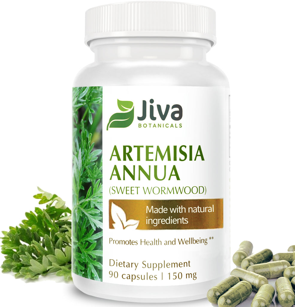 Artemisia Annua Capsules